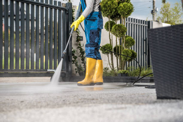 Best Local Pressure Washing Services  in Rockford, MI