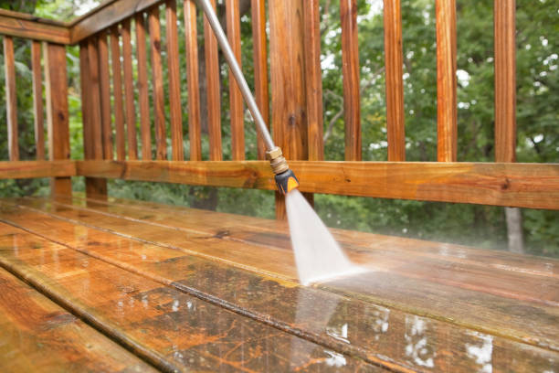 Best Pressure Washing Services for Businesses  in Rockford, MI