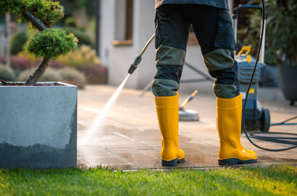 Best Power Washing Near Me  in Rockford, MI